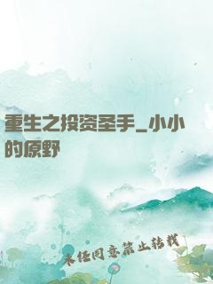 重生之投资圣手