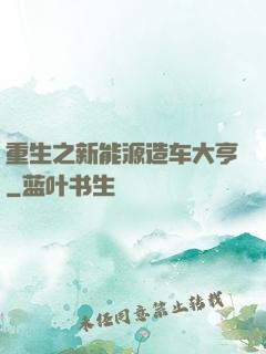 重生之新能源造车大亨