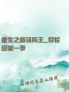 重生之最强兵王