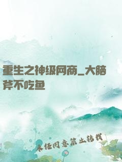重生之神级网商