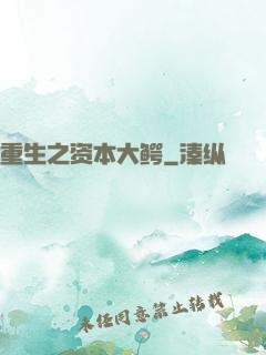 重生之资本大鳄