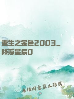 重生之金色2003