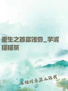 重生之首富传奇