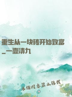 重生从一块砖开始致富