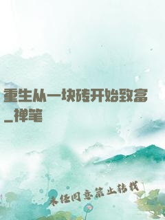 重生从一块砖开始致富