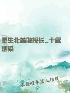 重生北美做探长