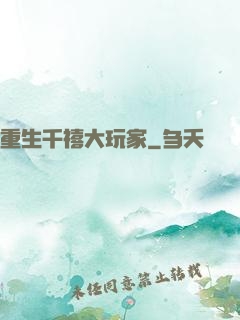 重生千禧大玩家