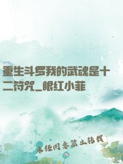 重生斗罗我的武魂是十二符咒