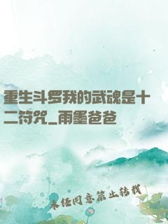 重生斗罗我的武魂是十二符咒