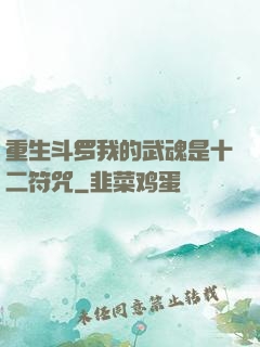 重生斗罗我的武魂是十二符咒