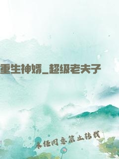 重生神婿