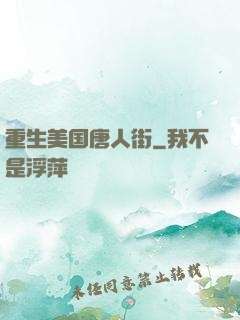 重生美国唐人街