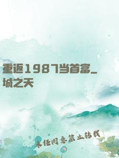 重返1987当首富