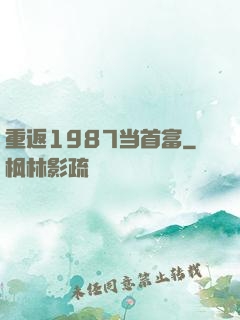 重返1987当首富