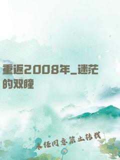 重返2008年