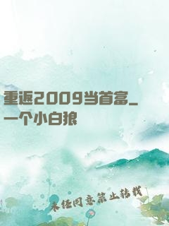重返2009当首富