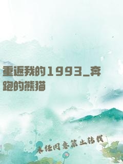 重返我的1993