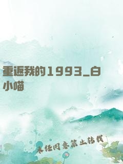 重返我的1993