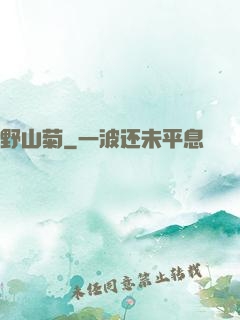 野山菊