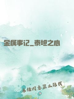 金属事记