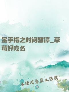 金手指之时间暂停