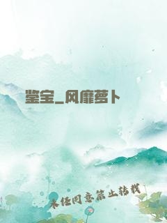 鉴宝