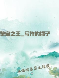 鉴宝之王