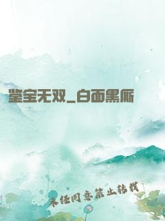 鉴宝无双