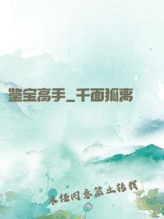 鉴宝高手