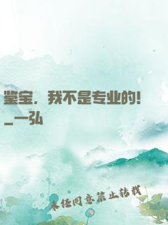 鉴宝，我不是专业的！