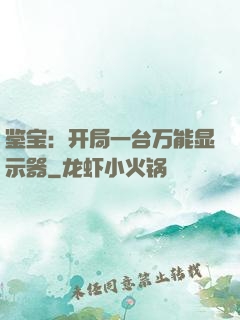鉴宝：开局一台万能显示器