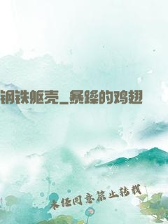 钢铁躯壳