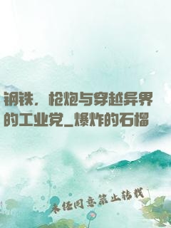 钢铁，枪炮与穿越异界的工业党