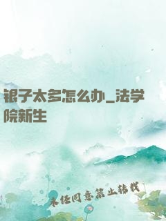 银子太多怎么办