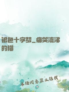 银色十字梦