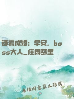 错爱成婚：早安，boss大人