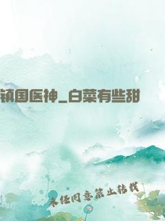 镇国医神