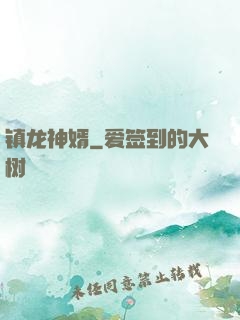 镇龙神婿