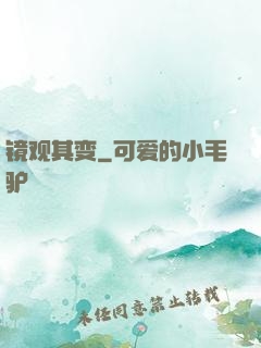 镜观其变