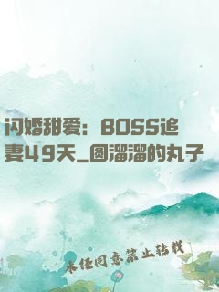 闪婚甜爱：BOSS追妻49天