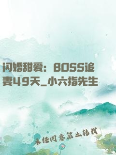 闪婚甜爱：BOSS追妻49天