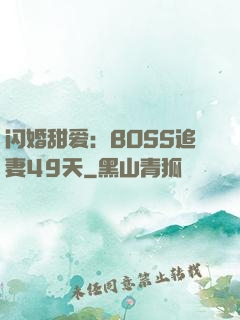 闪婚甜爱：BOSS追妻49天