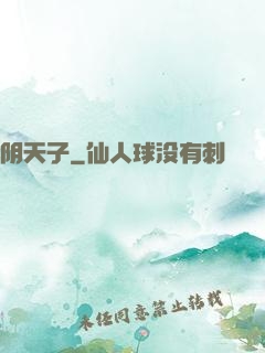 阴天子