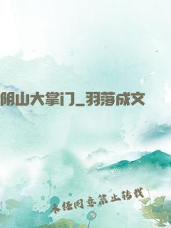 阴山大掌门