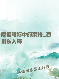 隐匿暗影中的荣耀