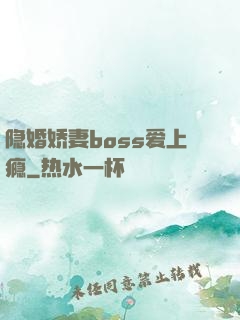 隐婚娇妻boss爱上瘾