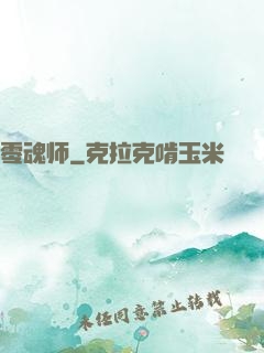 零魂师