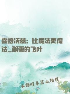 霍格沃兹：比魔法更魔法