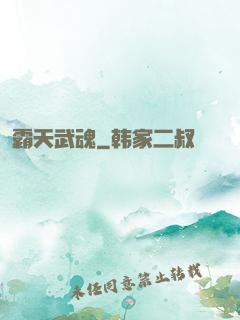 霸天武魂
