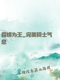 霸婿为王